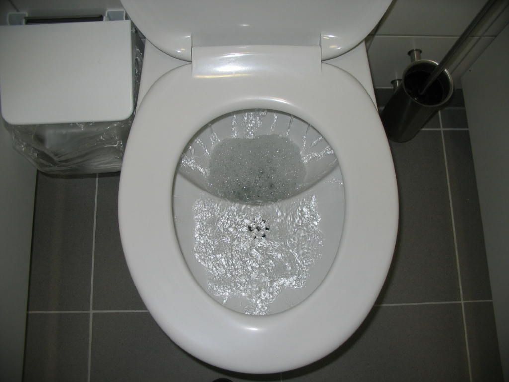 flushed toilet